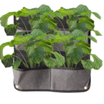 Jardín vertical TECH x4 para plantas en casa