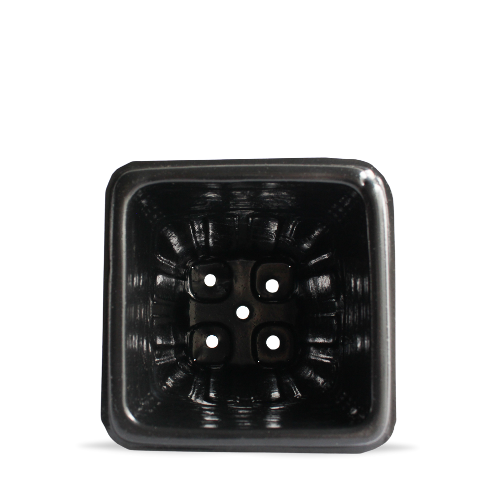 TECH Maceta Enraizadora 1000ml