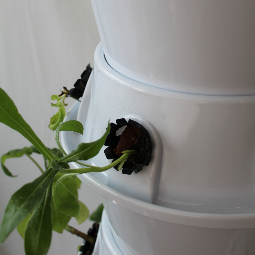 Garten Sistema Hidróponico en Torre de 30 plantas