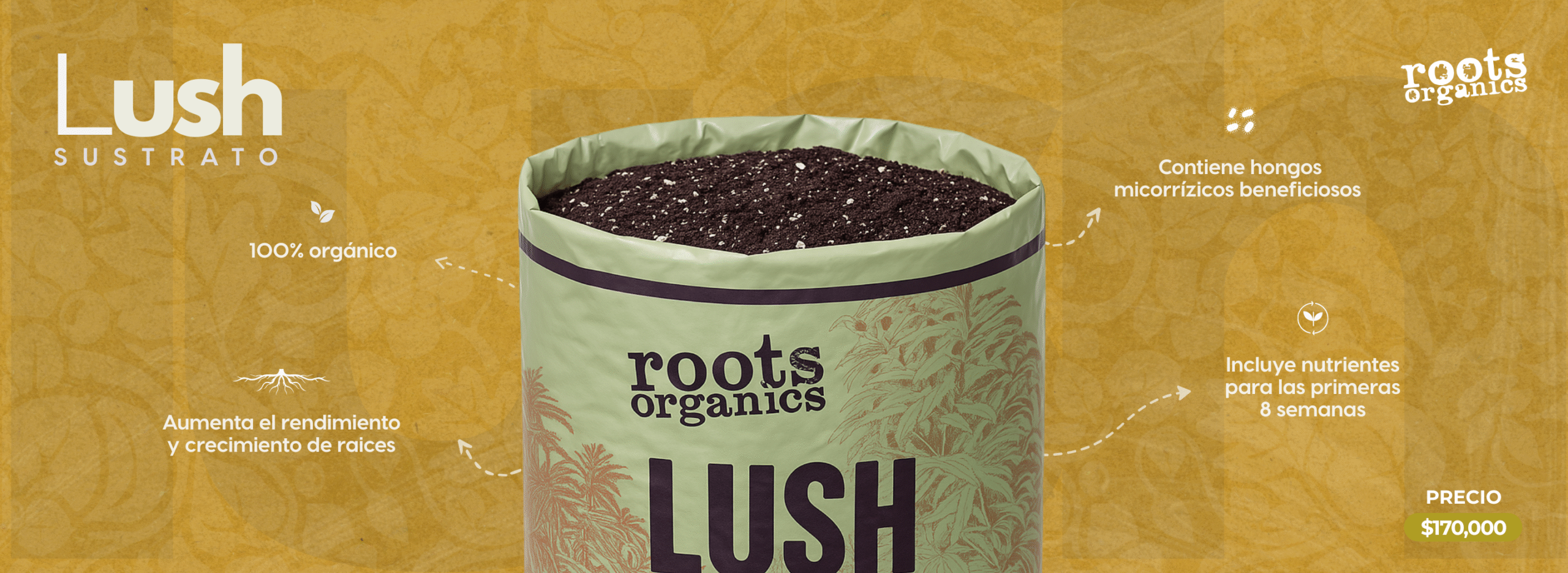 LUSH