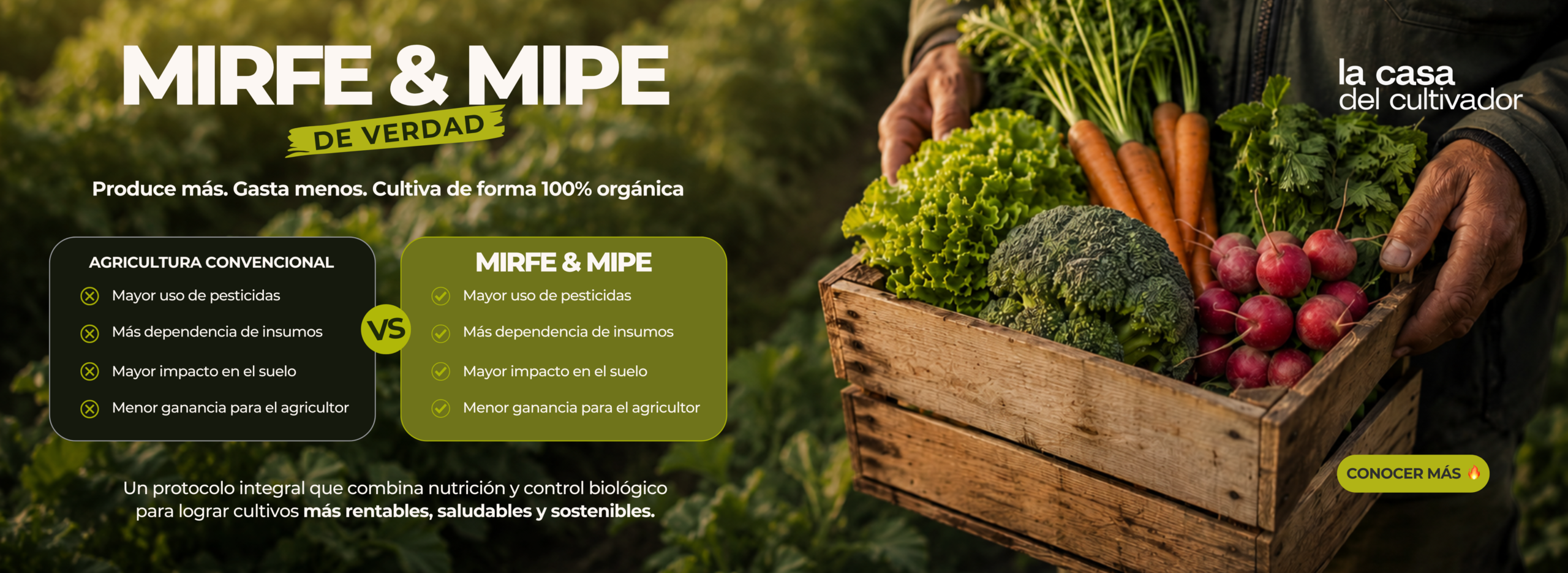 MIRFE Y MIPE MIRFE Y MIPE