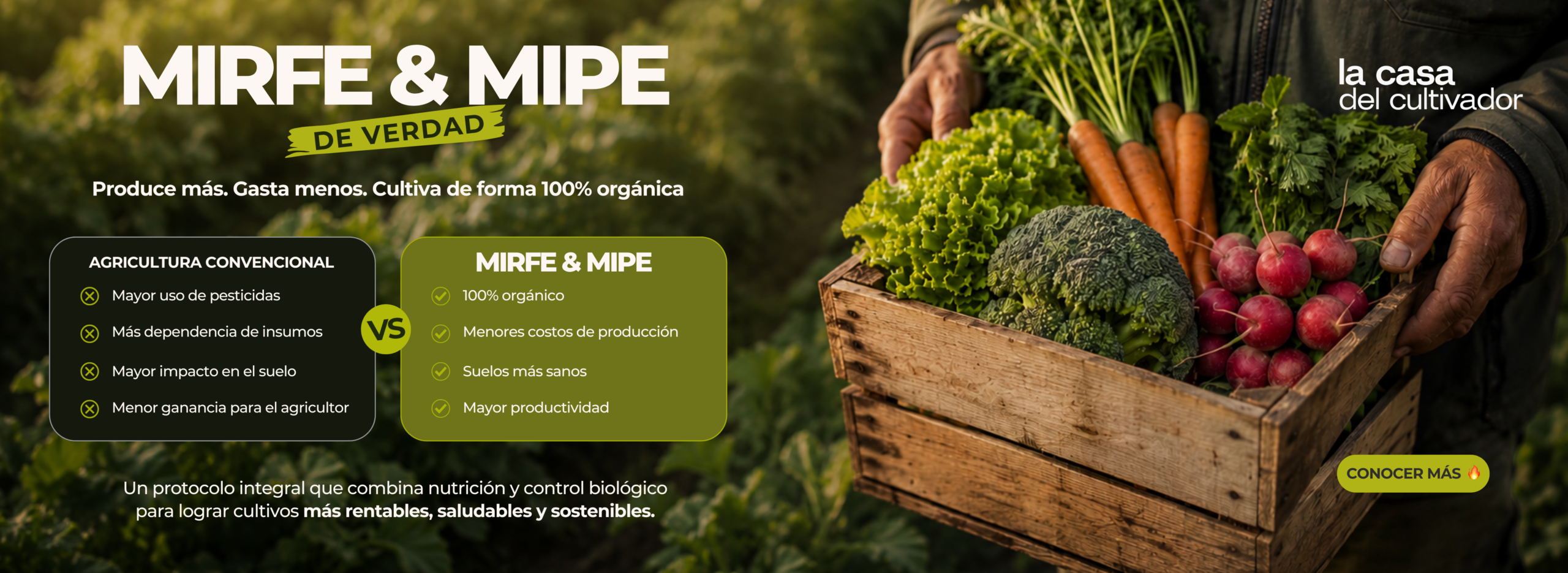 Mirfe y Mipe